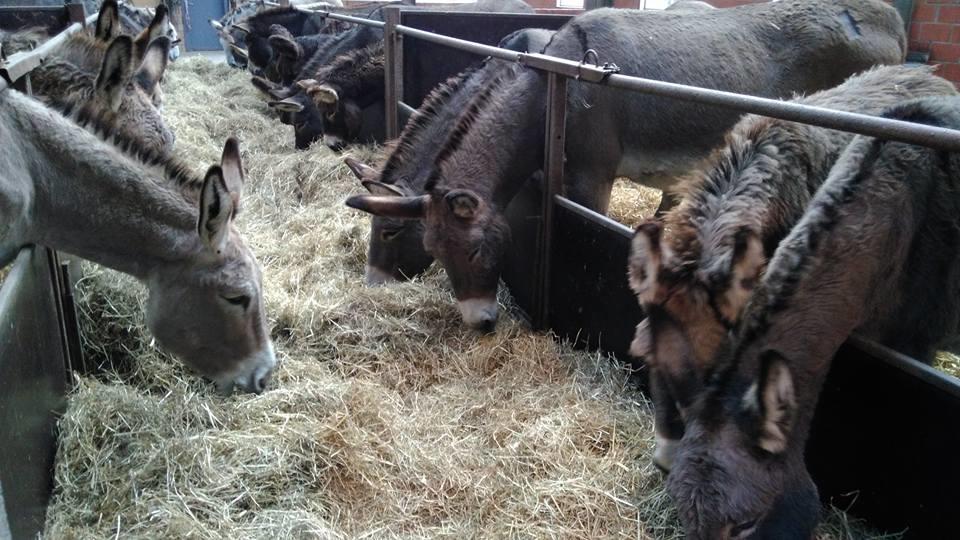 Willa Ferme Du Charme Moustier Zewnętrze zdjęcie